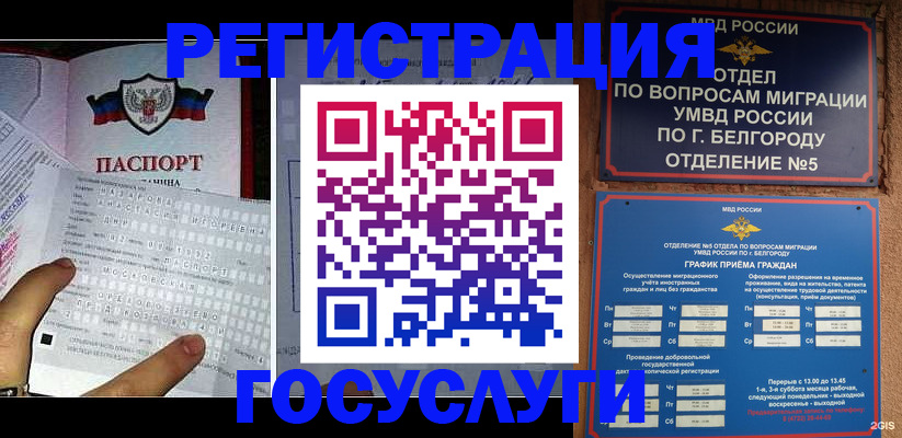 временная регистрация в квартире в Железногорске